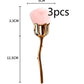 Rose Loose Powder Makeup Brush Beauty Tool